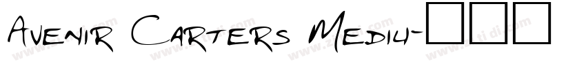 Avenir Carters Mediu字体转换